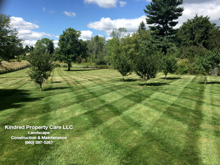 Have Kindred Property Care LLC take care of your landscaping needs