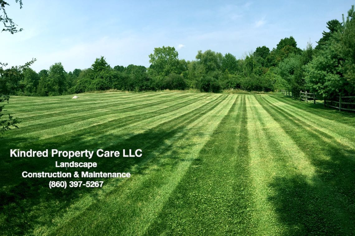 We make sure your lawn the envy of your neighbors